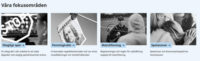Hårda krav från Spelinspektionen på casino online